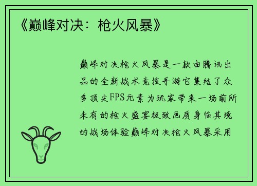 《巅峰对决：枪火风暴》